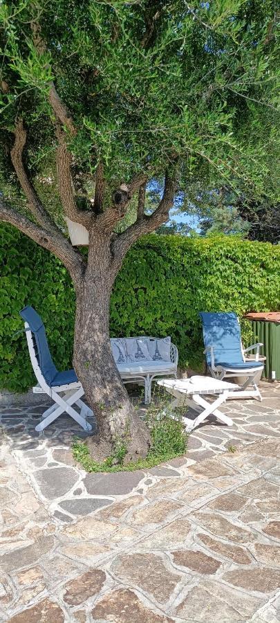 Casa Lina Lejlighed Olbia Eksteriør billede